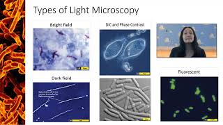 Types of Light Microscopy [upl. by Calan]