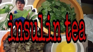 Insulin PlantsHow to make Insulin Tea [upl. by Edla642]