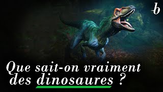 Que saiton vraiment des dinosaures [upl. by Leasia853]