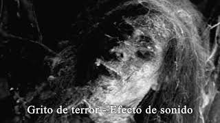 Grito de terror  Efecto de sonido [upl. by Htiek]