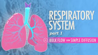 SF Nursing Trach Care Part 1 Suction [upl. by Cicely]