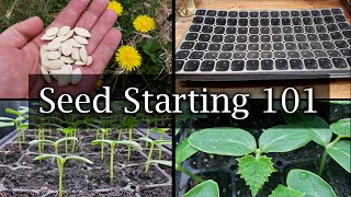 How To Start Vegetable Seeds  The Definitive Guide For Beginners [upl. by Tatianna]