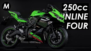 New 2020 Kawasaki ZX25R 250cc Inline4 Motorcycle Announced [upl. by Fredel]