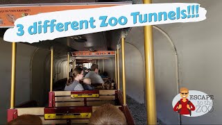 Toledo Zoo walkthrough [upl. by Ylicic407]