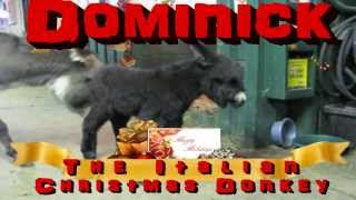 Dominick The Italian Christmas Donkey [upl. by Eizzil342]