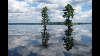 Virtual Tour of Great Dismal Swamp [upl. by Ettevahs842]