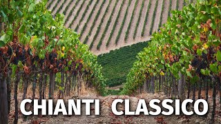 Great Italian Wines CHIANTI CLASSICO [upl. by Annadroj515]