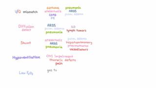 Differential diagnosis for hypoxemia [upl. by Taryn]