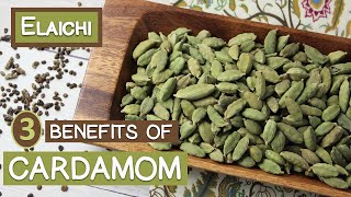 3 Benefits of Cardamom Three LesserKnown Uses of Elaichi [upl. by Nolrak946]