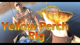 My FAVORITE Yellow Perch Rig Maryland Yellow Perch Fishing 2020 [upl. by Nerol857]