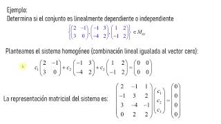 Dependencia e Independencia Lineal Definición y Ejemplo [upl. by Anola]