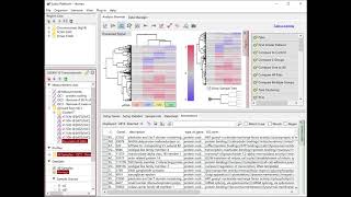 RNASeq Data Analysis Tutorial 06  Extracting Differentially Expressed Genes DEG [upl. by Bulley]