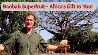 Baobab Superfruit  Africas Gift to You [upl. by Niwle]