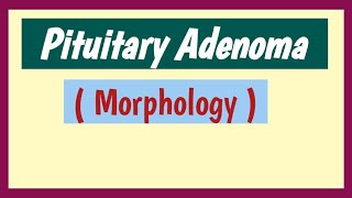 Pituitary Adenoma Pathology [upl. by Ailgna912]