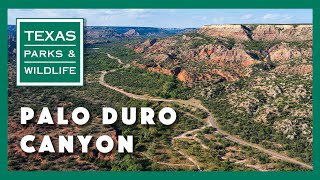 Palo Duro Canyon State Park Texas [upl. by Noiraa]