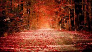 Autumn Dream  video designed by dreamsceneorg [upl. by Llewop901]