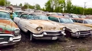 200 classic car collection liquidation A MUST WATCH [upl. by Nath]