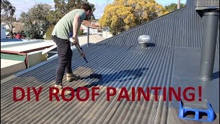 How To Paint Your Roof With A Broom [upl. by Lance457]