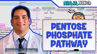 Metabolism  Pentose Phosphate Pathway [upl. by Myrah]