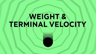 Weight amp Terminal Velocity  GCSE Physics [upl. by Etnoek961]