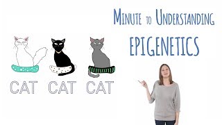 What is epigenetics [upl. by Raseac]