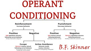 Operant conditioning in learning psychology [upl. by Ainaznat]