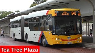 Buses at Tea Tree Plaza Interchange OBahn Busway  Adelaide Metro [upl. by Thelma]