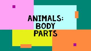 Animals Body Parts Grade 3 [upl. by Aikemahs]