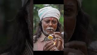 Beedi vs cigarette [upl. by Ochs]