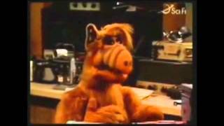 ALF CHATS [upl. by Dahij]