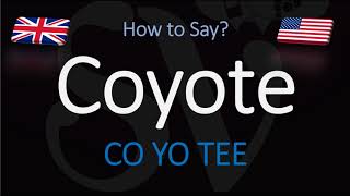 How to Pronounce Coyote  English American Pronunciation [upl. by Frisse]