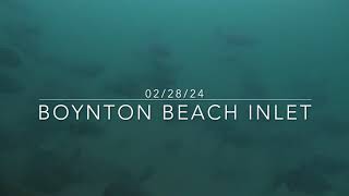 Boynton Beach Inlet Underwater Camera [upl. by Asilehs]