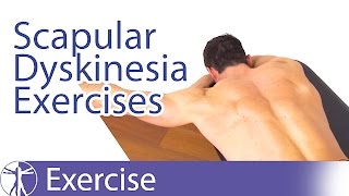 Best Scapular Dyskinesis  Dyskinesia Exercises [upl. by Diana997]