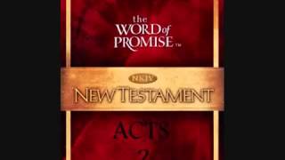 BOOK OF ACTS  NKJV [upl. by Tobie]