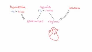 Introduction to hypoxemia [upl. by Sherris]