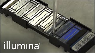 Learn About Illuminas Infinium Protocol [upl. by Malorie331]