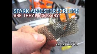 Why I Dont Remove Muffler Spark Arrester Screens From 2 Cycle Equipment [upl. by Eenert]