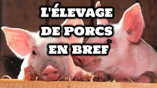 Comment élever des Cochons [upl. by Aehcsrop]