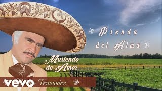 Vicente Fernández  Prenda del Alma Cover Audio [upl. by Megan]