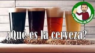 ¿Qué es la cerveza [upl. by Keraj]