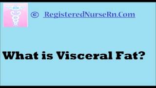 What is Visceral Fat [upl. by Cruce]