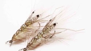 Fly tying quotPro Dotted Shrimpquot Saltwater shrimp Stepbystep tutorial [upl. by Adnaerb790]