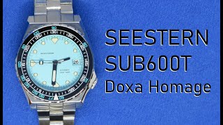 Seestern SUB600T Review [upl. by Aholla608]