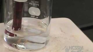 Polyprotic Acid Titration Lab [upl. by Zoi]