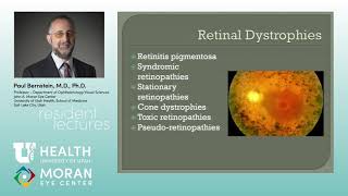 Retinal and Macular Dystrophies [upl. by Aronson]