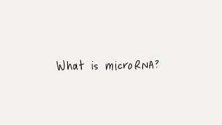 What is microRNA miRNA [upl. by Sylram]