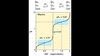 Amino Acid Titration Curve Part 1 [upl. by Grimaldi]