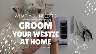 Grooming your Westie at home Everything youll need [upl. by Terraj]