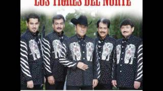 Al Mil Por Uno  Los Tigres Del Norte [upl. by Arinaj]