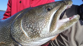 Lake Trout Jigging Techniques That Guides Dont Want You to Know [upl. by Malonis]